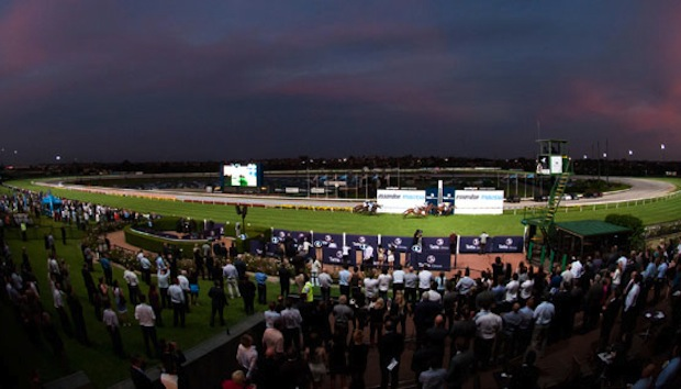 "The Swoopers" Sportchamps Friday Night Mooney Valley Racing 