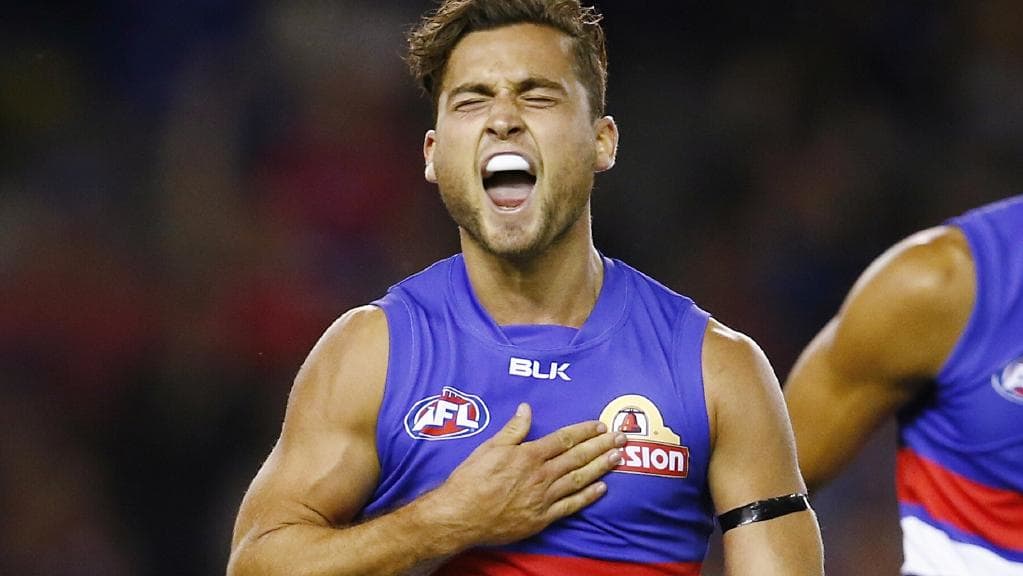 AFL Bulldogs Luke Dahlhaus