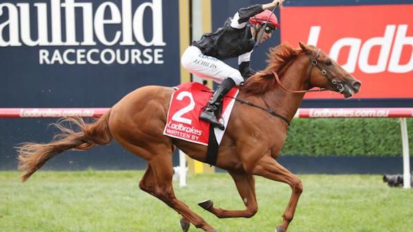 blue diamond stakes