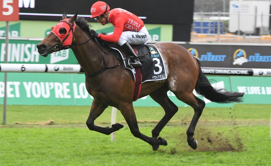 Redzel