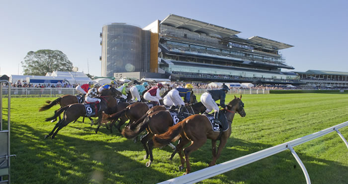 Horse Racing Tournament