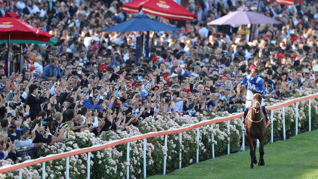 Winx Cox Plate