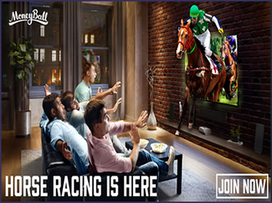 Moneyball horse racing