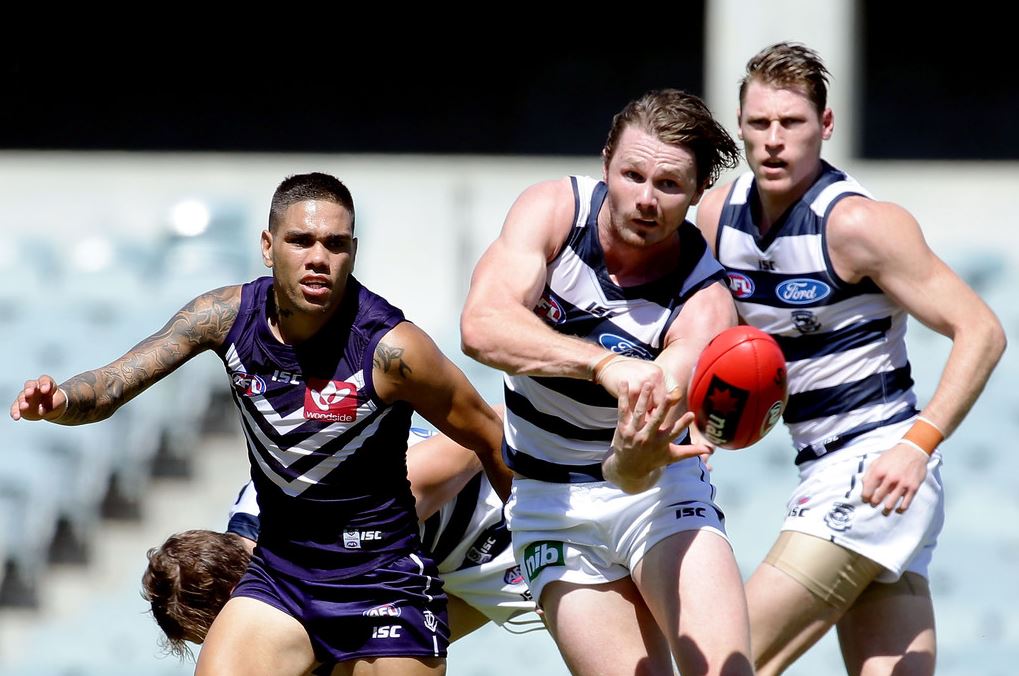 AFL 2020 Daily Fantasy Tips: Round 17 - Cats v Tigers