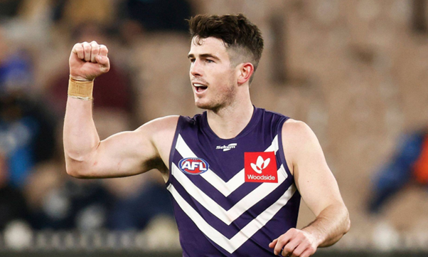 AFL 2022 Daily Fantasy Tips: Round 8 Friday