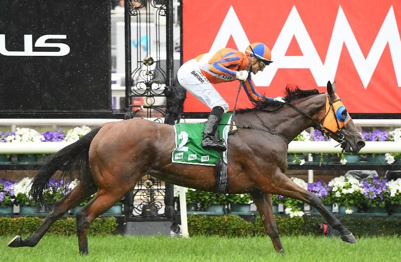 "The Swoopers" SportChamps Stakes Day 09-11-19