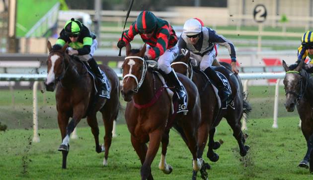 Fantasy Horse Racing Tips: Randwick and Mornington - Saturday September 29th