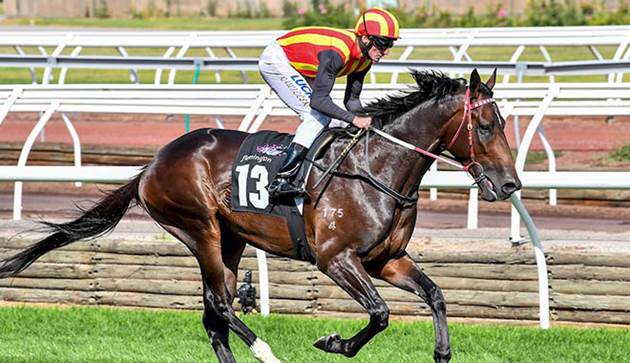 Fantasy Horse Racing Tips: Ballarat Cup, Saturday November 24th