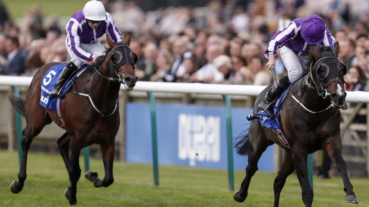 Fantasy Horse Racing Tips: Manikato Stakes Night, Friday October 26th