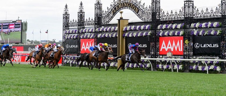 "The Swoopers" SportChamps Oaks Day 07-11-19